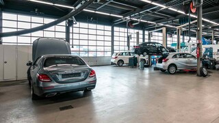 Louwman Mercedes-Benz Personenwagens Tiel