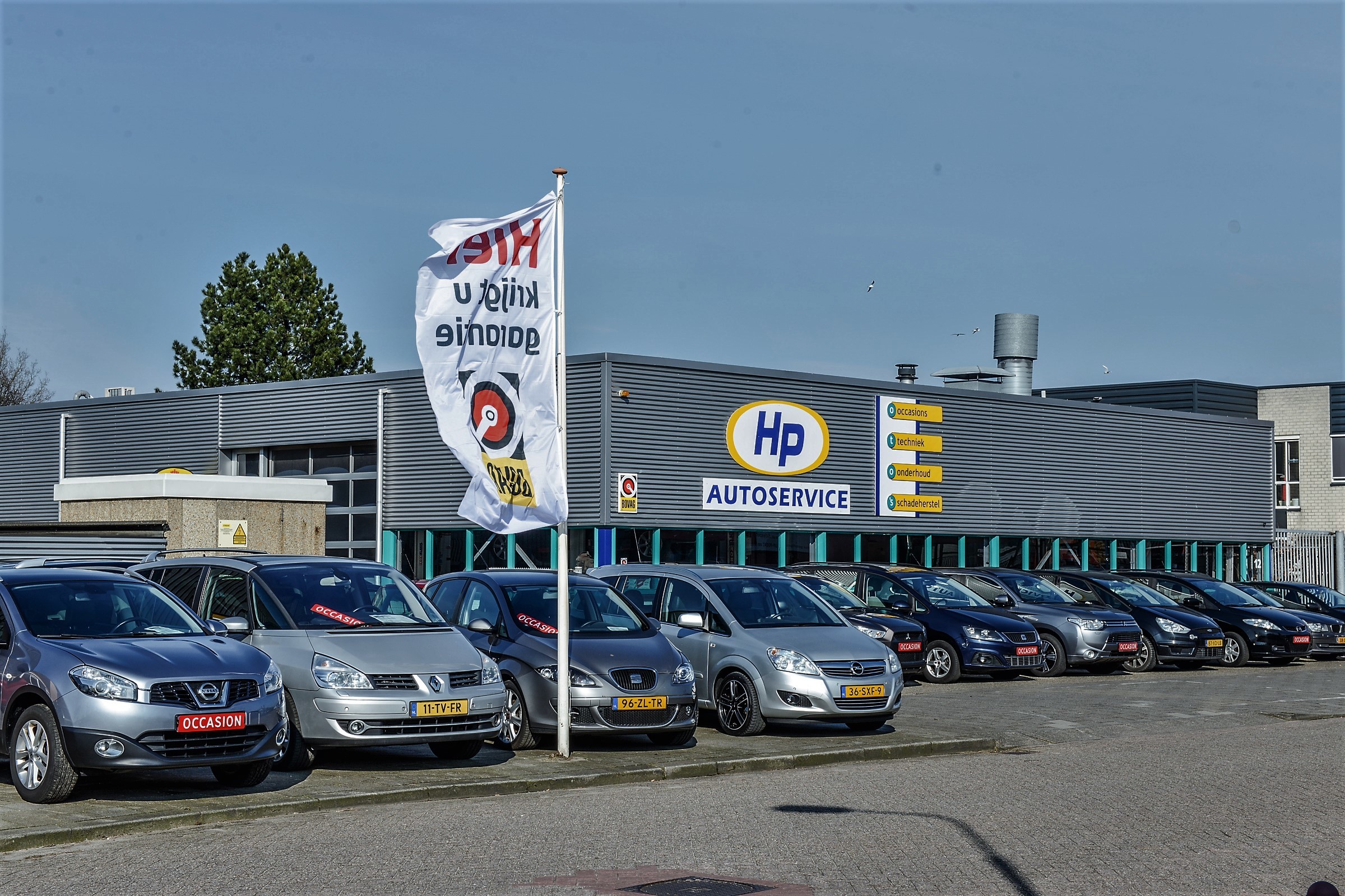 dealerImage