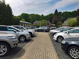 Auto Scherling