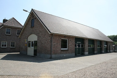 dealer image