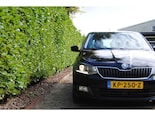 voertuig afbeelding-1