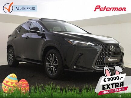 Lexus NX 0