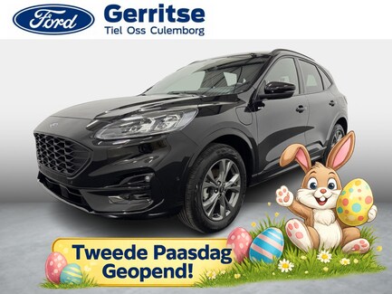 Ford Kuga 0