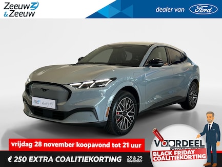 Ford Mustang Mach-E 0