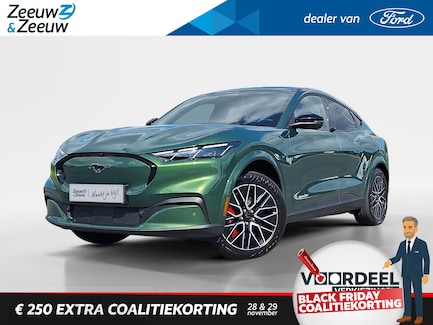 Ford Mustang Mach-E 0