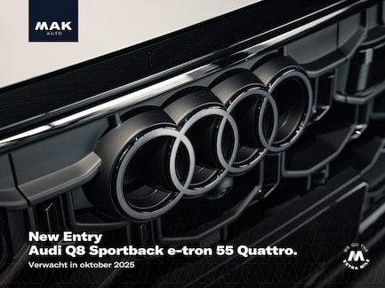 Audi Q8 e-tron 0
