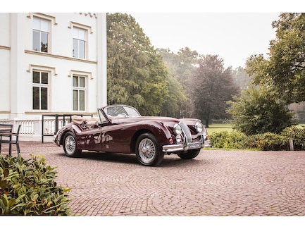 Jaguar XK140 0