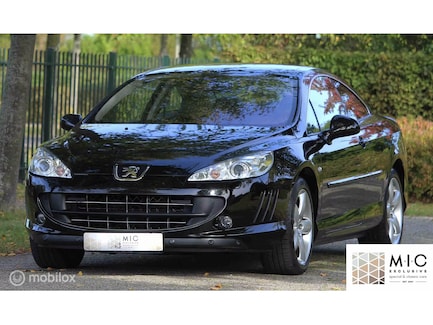 Peugeot 407 0