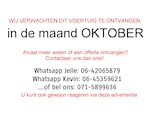 voertuig afbeelding-1