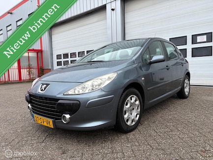 Peugeot 307 0