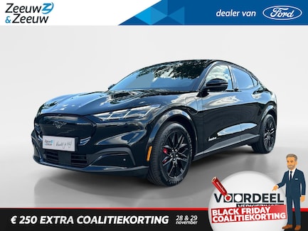 Ford Mustang Mach-E 0