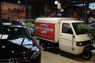 Auto Carrion