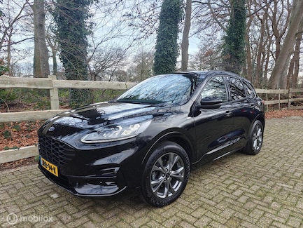 Ford Kuga 0