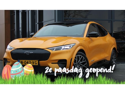 Ford Mustang Mach-E 0