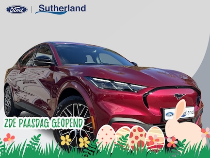 Ford Mustang Mach-E 0