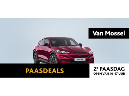 Ford Mustang Mach-E 0