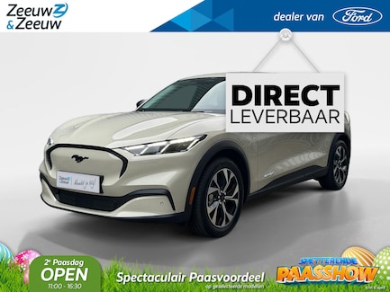 Ford Mustang Mach-E 0