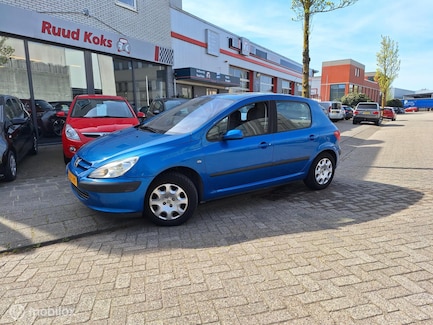 Peugeot 307 0