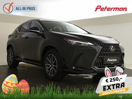 Lexus NX 0