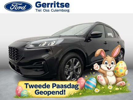 Ford Kuga 0