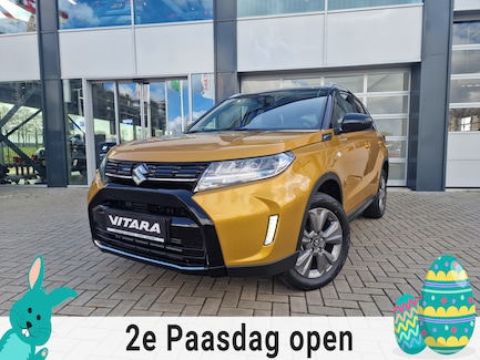 Suzuki Vitara 0
