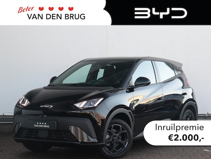 BYD Dolphin Surf 0