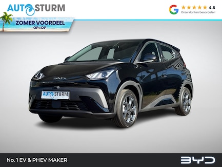 BYD Dolphin Surf 0