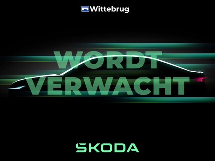 Skoda Fabia 0