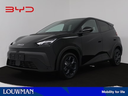 BYD Dolphin Surf 0