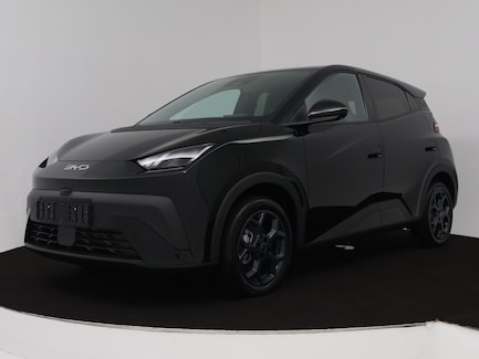 BYD Dolphin Surf 0