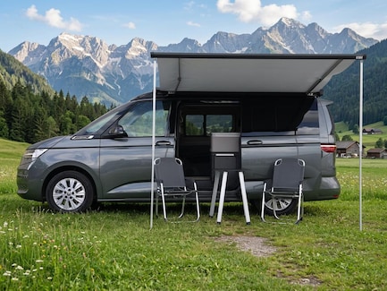 Volkswagen California 0