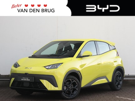 BYD Dolphin Surf 0