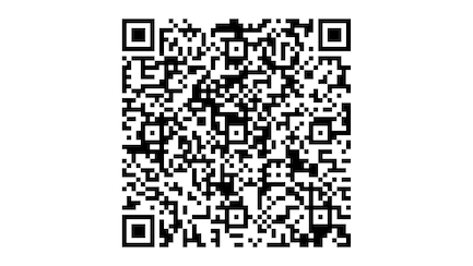 Audi A4 0