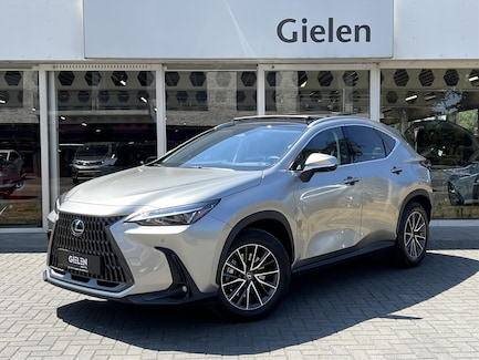 Lexus NX 0