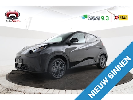 BYD Dolphin Surf 0