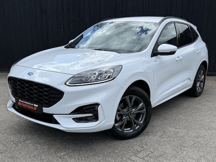 Ford Kuga 0