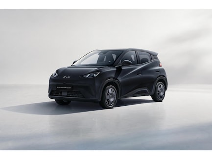 BYD Dolphin Surf 0