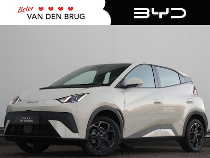 BYD Dolphin Surf 0
