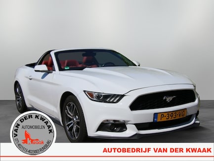 Ford Mustang 0