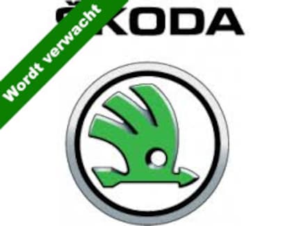 Skoda Kodiaq 0