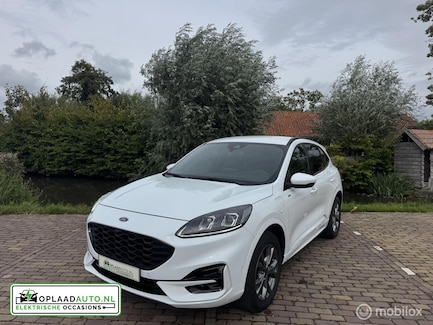 Ford Kuga 0
