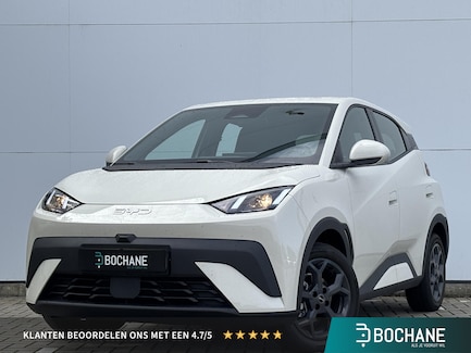BYD Dolphin Surf 0