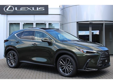 Lexus NX 0