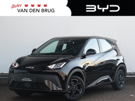 BYD Dolphin Surf 0