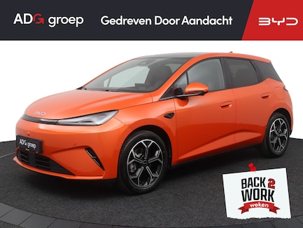 BYD Dolphin G 0