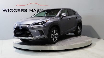 Lexus NX 0