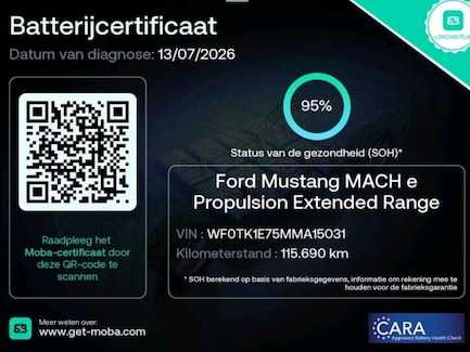 Ford Mustang Mach-E 0