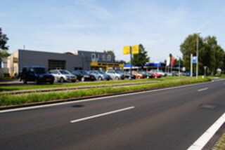 Van Delft Auto's Dieren