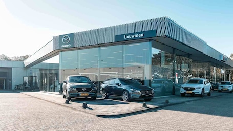 dealer image