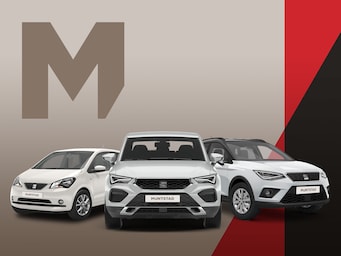 dealer image